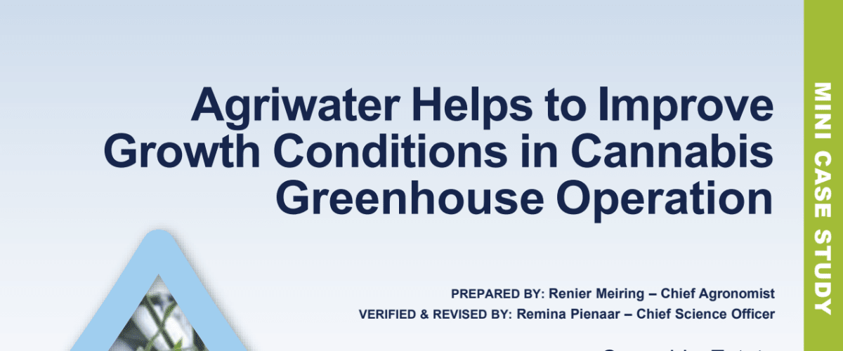 AgriWater Helps to Improve Growth Conditions in Cannabis Greenhouse Operations 