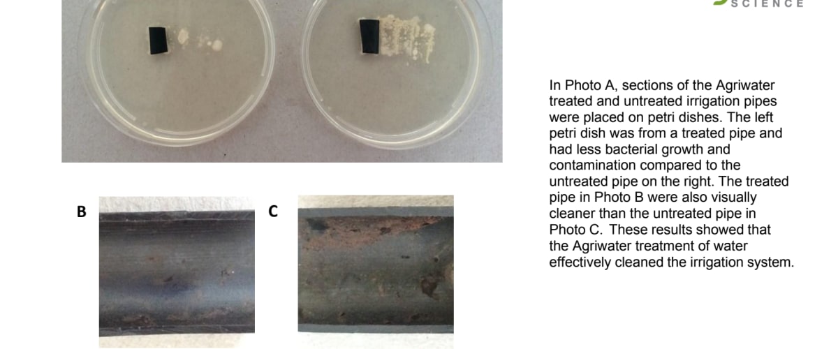 Independant Study - AgriWater Irrigation System Cleaning: Bacterial Results