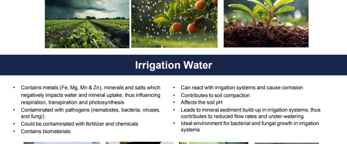 The Importance of Oxygen & Quality Water