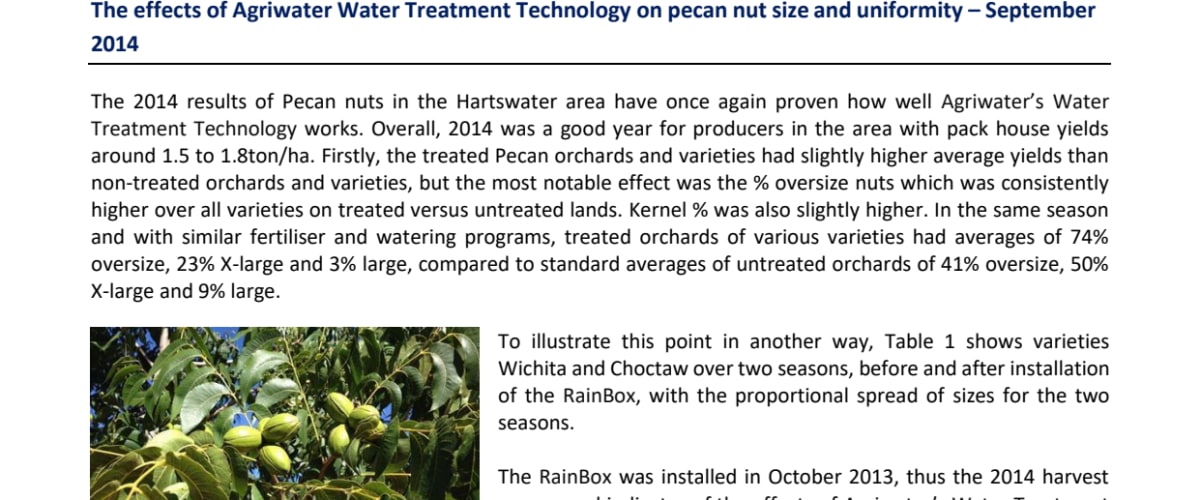 Observations on Pecan Nuts