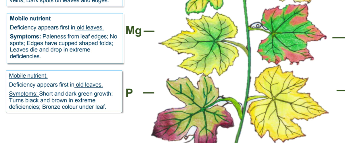 Mineral Mobility and Deficiency Chart