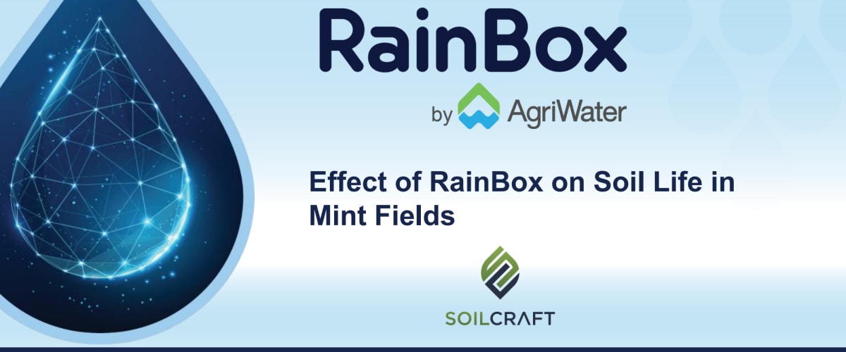 Effect of RainBox on Soil Life in Mint Fields