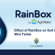 Effect of RainBox on Soil Life in Mint Fields